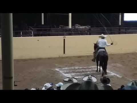 pialadero de las estrellas 2022 campeon juan pablo franco..