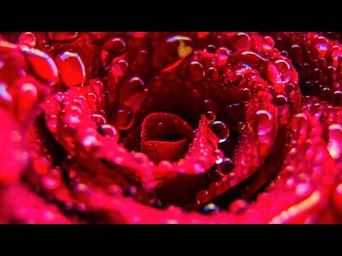 Kerstin Ott & Andrea Berg - Was auch immer passiert