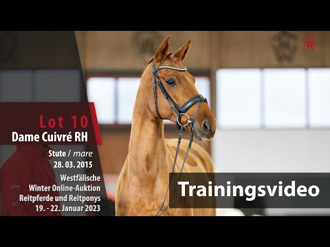 Winter Online-Auktion Training Lot 10 Dame Cuivré RH Stute v. Damon Hill - Fidermark