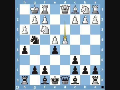 Chess Traps- Fishing Pole