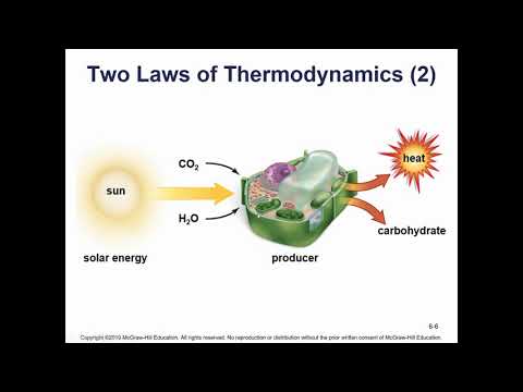 Bio 101 Chapter 6 Video Lecture