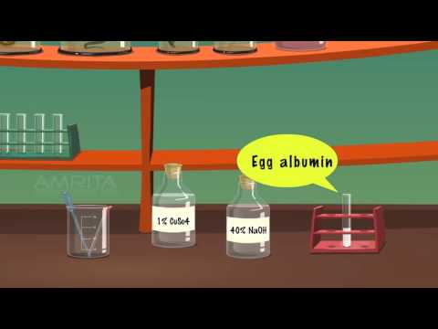 Protina fats carbohydrates supply ng patakaran Manipis na mga armas at malata