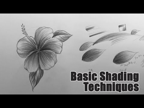 Drawing for Beginners Step by Step | Day 011 Part 1 | Basic Pencil Shading Technique Part 1