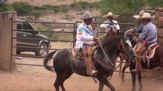 Nueva Alianza �ates