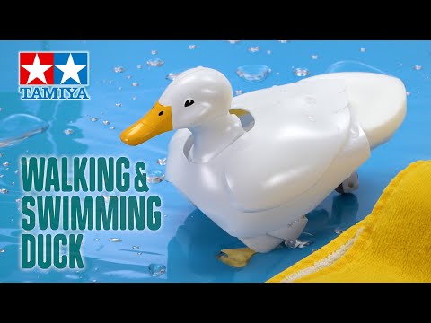 Slide 3 - Walking & Swimming Duck (video)