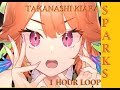 HoloLive EN S Takanashi Kiara SPARKS 1 HR LOOP