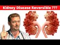 Reverse Chronic Kidney Disease CKD Improve Kidney Function With Diet 2024