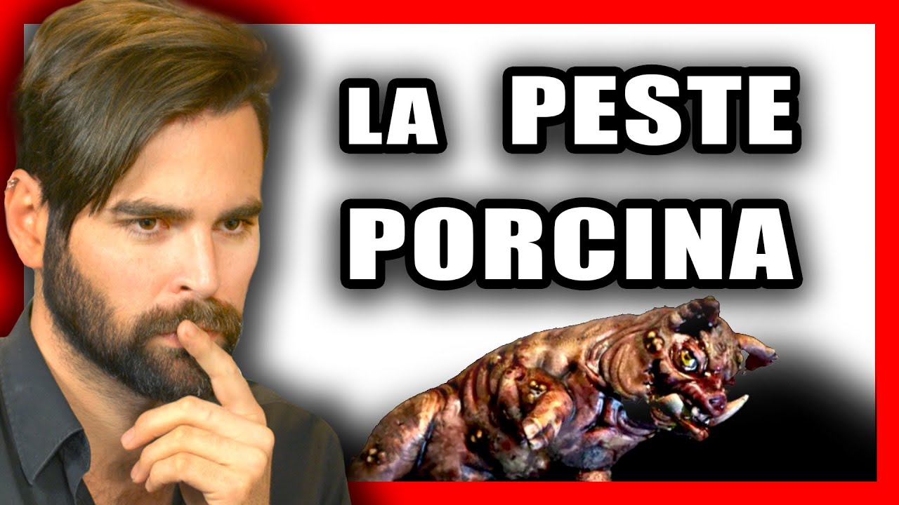 ¿Laboratorio ruso? La PESTE PORCINA en España EXPLICADA