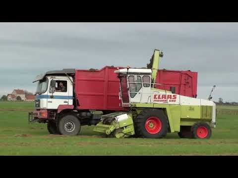 Loonw. Tavernier - Roksem VS Boon - Woumen - Claas Jaguar 690 - M.A.N 26.343 6x6 silagetruck