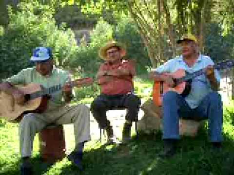 Grupo de Churcal, San Felix, Vallenar, Chile 3/3