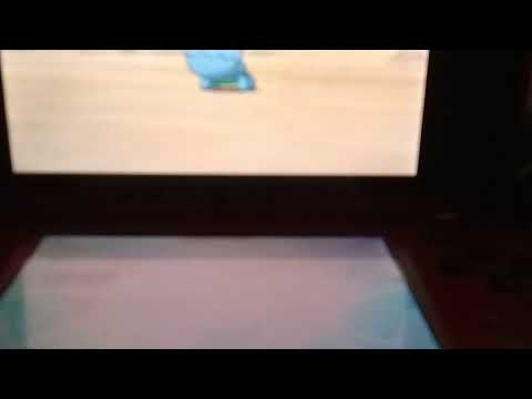 Shiny Trapinch Reaction Via SOS after 83 SOS encounters!!!