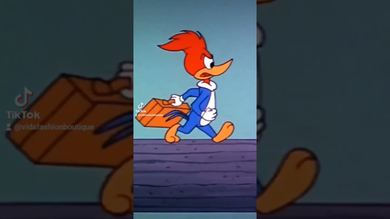 Moda Elegante no Site Vida Fashion Boutique #shorts