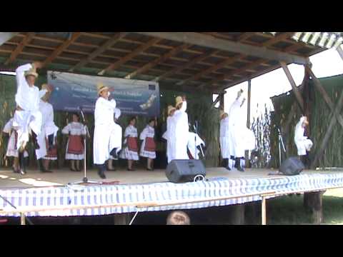 Dans Codru Domanesti ACCD