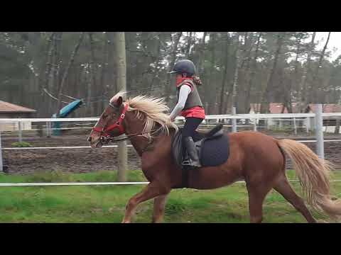 20/02/21 travail au galop pour petits et grands