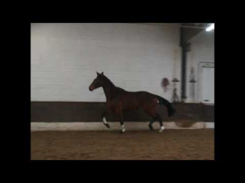 COCOLOCO 4j. v. Cassillias - For Edition VB 5.500,- Euro