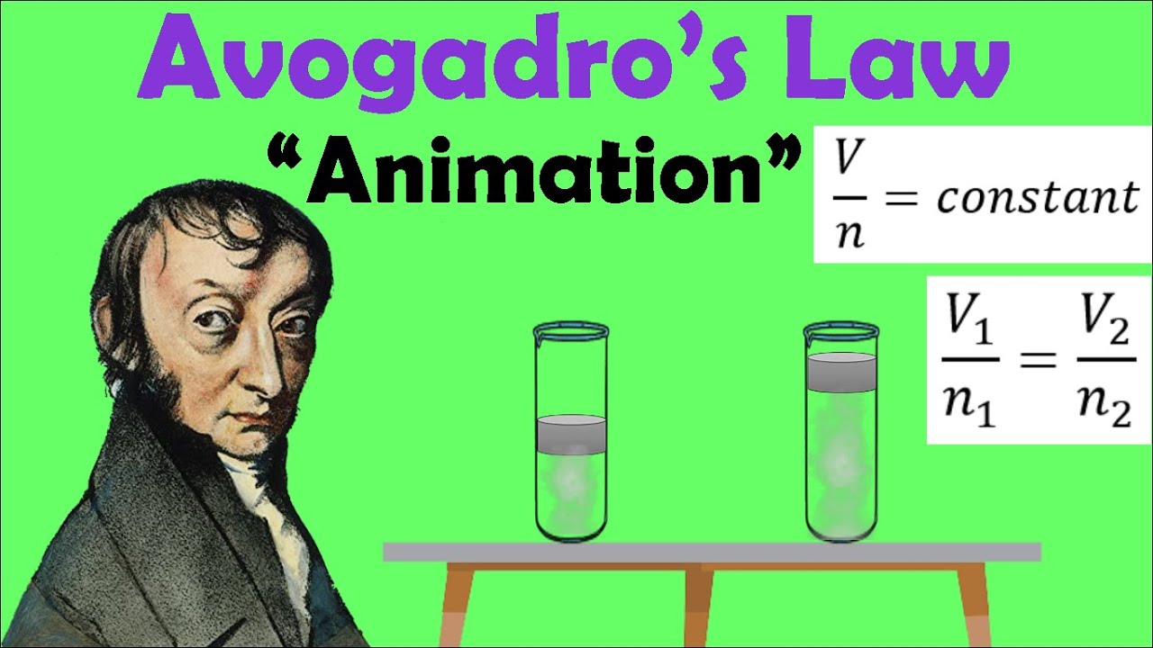 AVOGADRO'S LAW | Animation
