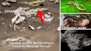 Possible Martian Dragon Found On Mars Half Buried