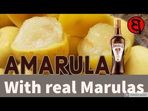 How to make Amarula using Marula Mampoer.