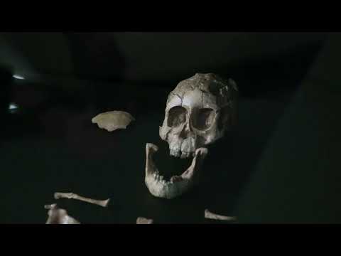 Kulturni dnevnik (2.9.2025.) Kao viđeni čin života