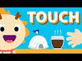 TOUCH ♫ | Five Senses Song | Wormhole Learning - Songs For Kids