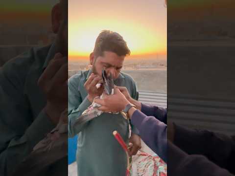 Kabootar ke death hogai 🥲😭 #pigeon #pigeonrescue #pets #love #shortvideo #fancypigeon #death