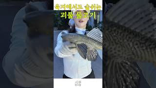 유튜브 썸네일