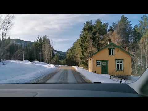 Visiting Keiko 'Free Willy' grave. Norway