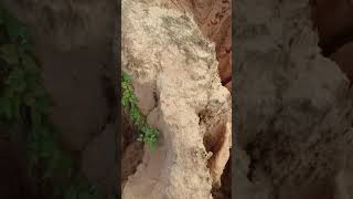 catreras que se formaram com o passar do tempo ❤😍
