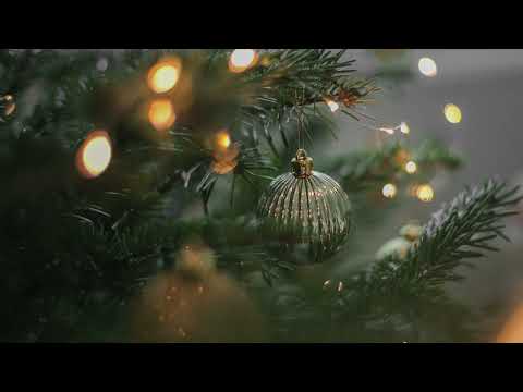 Silver White (Instrumental Version)_Slowfly