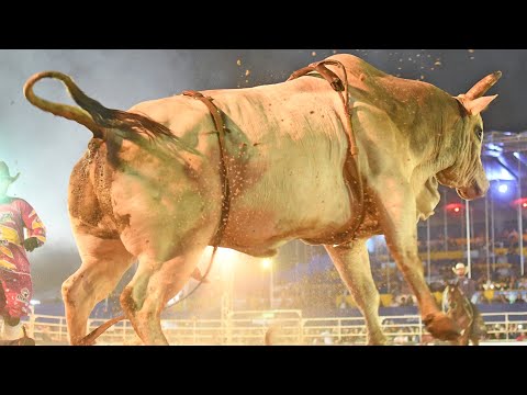 FICAR Rodeo of Assis 2022 (SATURDAY / HIGHLIGHTS) 11th Stage CRP