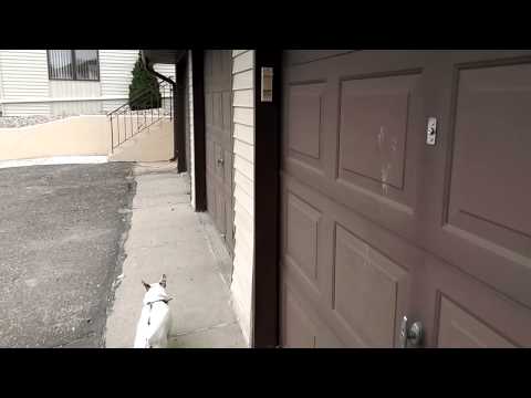 HTC Desire 820 video demo