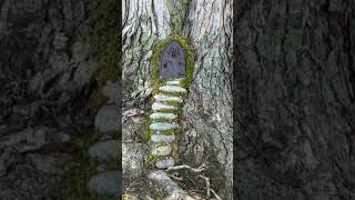 Идеи для сада №17 #garden #сад