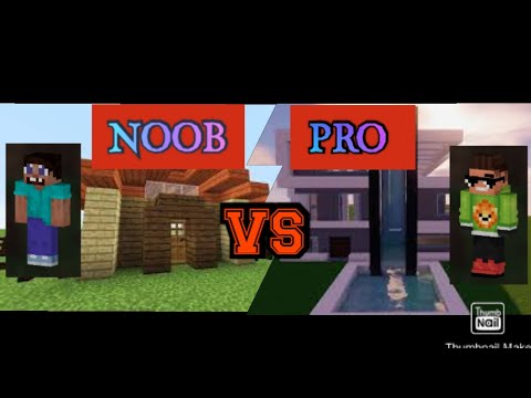 NOOB VS PRO HOUSE  (NOOB VS PRO EV)