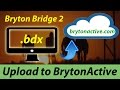 Bryton Active