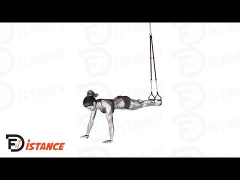 Pompes TRX avec les pieds suspendus - Exercice Pompes TRX avec les pieds suspendus en vidéo Pompes TRX avec les pieds suspendus - Exercice Pompes TRX avec les pieds suspendus en vidéo