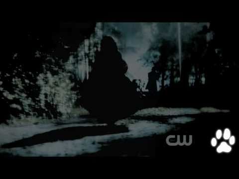 stefan and katherine [it hurts, doesn't it?] 2x04