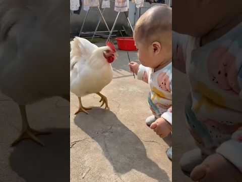 Moments You Cant MissPure Vibes OnlyWatch Till the End! #viral #shorts