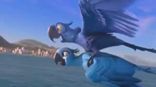 Birdmash | Learning to Fly ☼