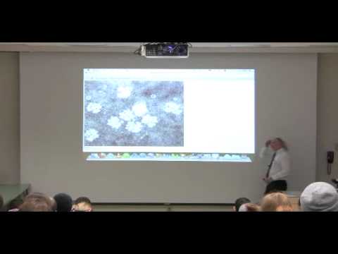 Kevin Ahern's Bite-Sized Biochemistry #27 - Citric Acid Cycle I (Oxidative Metabolism)