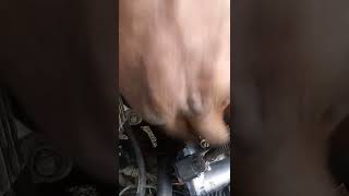 replacing throttle body on 11 Chevy Cruze and the relearn procedure