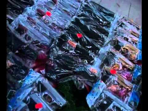 Minunatele povestiri ale navetistului banatean - Denta