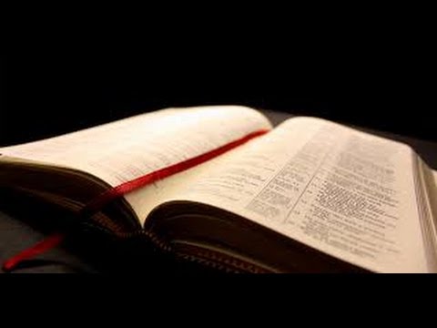 John 1:19-51- The Testimony of John  The Baptist