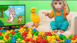 Here We Go Round the Mulberry | Baby Monkey Nursery Rhymes & Kids Songs