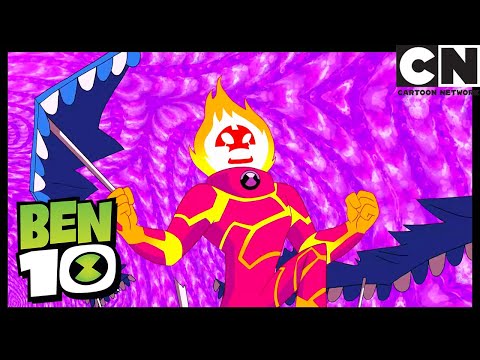 Śmieszno i straszno | Ben 10 Po Polsku | Cartoon Network