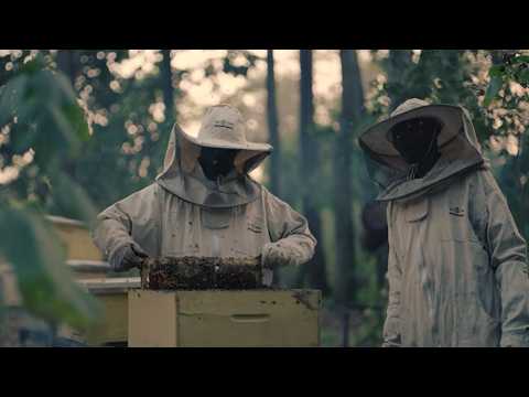 New video series highlights the power of high integrity biocredit schemes to conserve nature | International Institute for Environment and Development