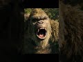 Kong Angry Whatsapp Status Godzilla Vs Kong Shorts Kong