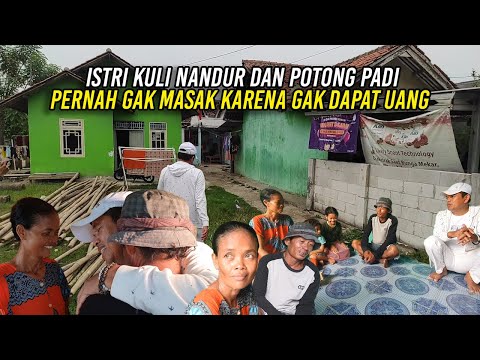 MANG ENAR PERNAH GAK MASAK KARENA NARIK BECAK GAK DAPAT UANG-PADI GAGAL PANEN KENA HAMA TIKUS