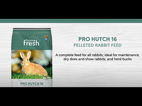 Home Fresh Pro Hutch 16