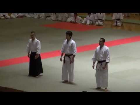 第25回浦安市合気道演武大会 千野先生 25th Urayasu Demo Chino Sensei