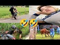NGAKAK GULING GULING PART 3 Lucu Lucu Video Lucu Bikin Ngakak Lucu Ngakak Tahan Tawa